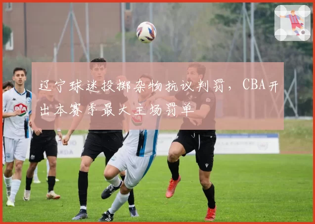 辽宁球迷投掷杂物抗议判罚,CBA开出本赛季最大主场罚单