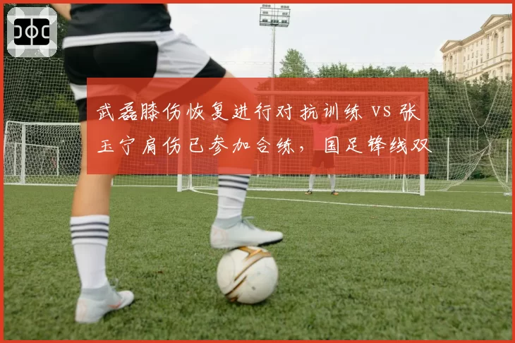 武磊膝伤恢复进行对抗训练 vs 张玉宁肩伤已参加合练,国足锋线双子星复出时间几乎同步为哪般